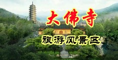 草屄电影院中国浙江-新昌大佛寺旅游风景区